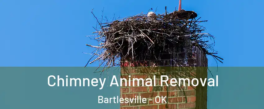 Chimney Animal Removal Bartlesville - OK