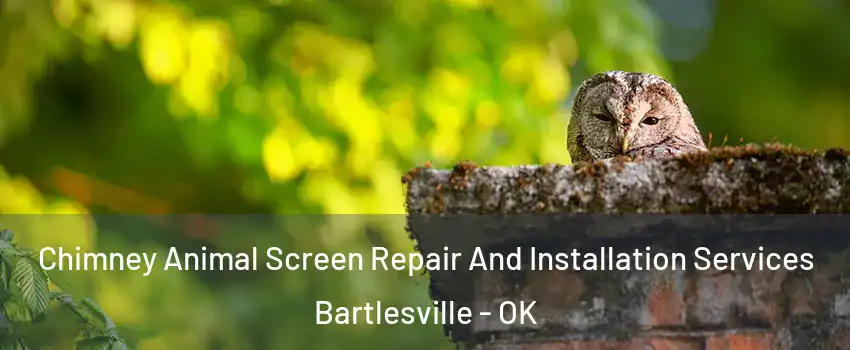  Chimney Animal Screen Repair And Installation Services Bartlesville - OK