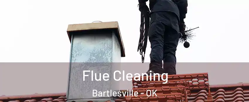  Flue Cleaning Bartlesville - OK