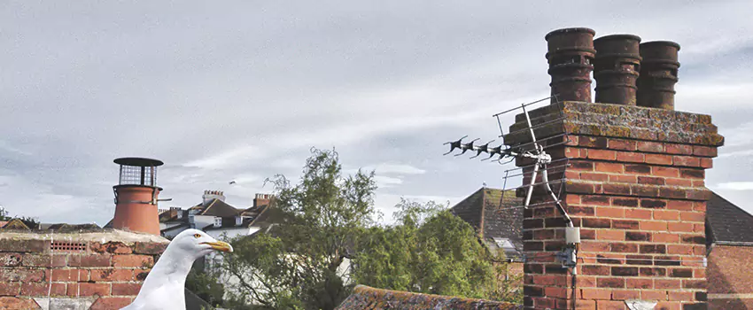Chimney Cleaning And Restoration in Bartlesville, Oklahoma