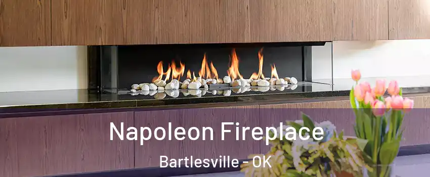  Napoleon Fireplace Bartlesville - OK
